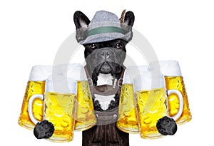 Bavarian beer dog