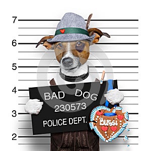 Bavarian beer mugshot dog