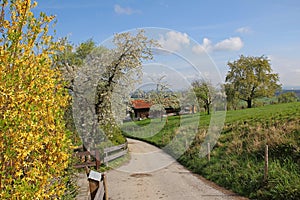 Bavarian countryside at springtime