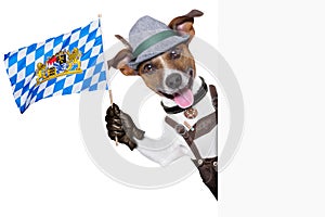 Bavarian dog