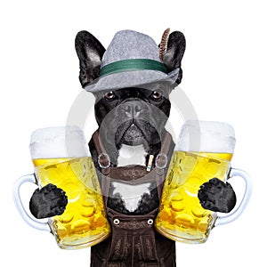 Bavarian dog