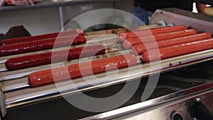 Bavarian Sausages for Hot Dogs Cooked on the Grill