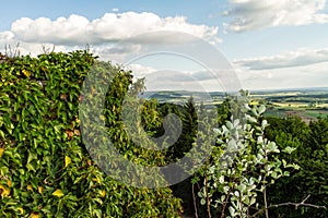 Bavarian Spring Landscape