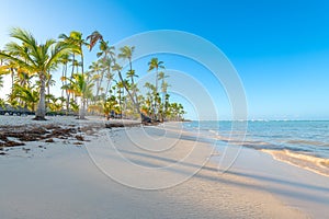 Bavaro Beach in Punta Cana photo