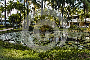 Bavaro Beaches in Punta Cana, Dominican Republic