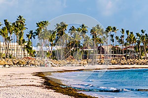 Bavaro Beaches in Punta Cana, Dominican Republic photo