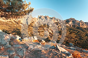 Bavella mountains. Corsica, France