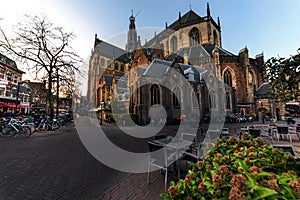 Bavo church at Haarlem