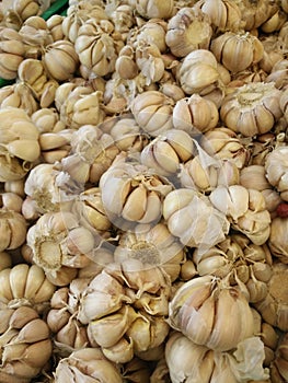 Bawang putih or garlic on a market photo