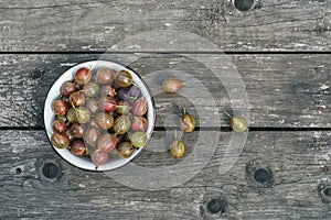 A bawl of gooseberries on a wooden surface photo