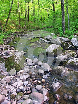 Baxters Hollow State Natural Area