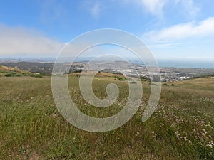 Bay area from San Bruno mountain