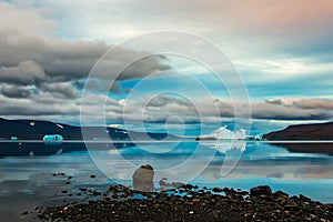 Bay Bear on Novaya Zemlya