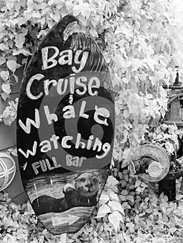 Bay cruise and whale watching sign, infrared