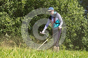 Bay cutting grass