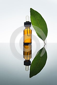 Bay essential oil, bay oil, bay leaf, amber glass bottle, dropper