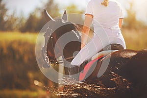 A bay fast horse with a rider in a red saddle gallops into the distance, illuminated by the bright sunlight on a summer day.