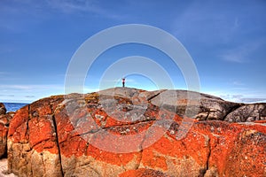 Bay of Fires photo