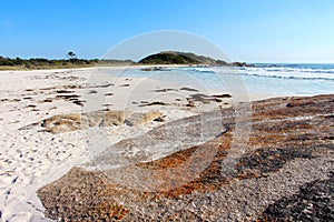 Bay of Fires beautiful day rocks down on the beach