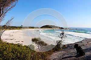 Bay of Fires beautiful day