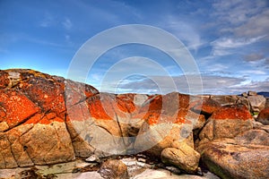 Bay of Fires, Tasmania photo