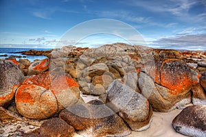 Bay of Fires, Tasmania photo