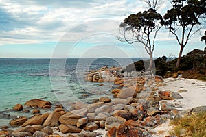 Bay of Fires, Tasmania