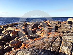 The Bay of Fires in Tasmania Australia