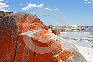 Bay of Fires, Tasmania, Australia