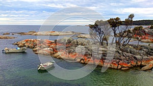 Bay of Fires, Tasmania