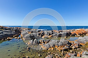 Bay of Fires. Turquoise waters with orange lichen growing on granite rocks, Tasmania, Australia