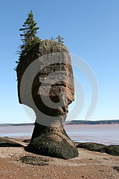 Bay of Fundy