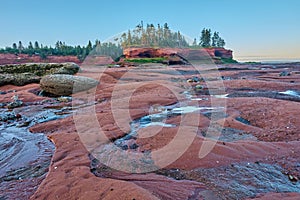 Bay of Fundy Floor Low Tide