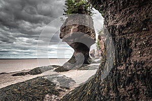 Bay of Fundy Hopewell Rocks Low Tide