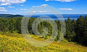 Bay of Fundy panorama
