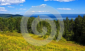 Bay of Fundy panorama photo