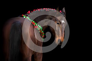 Bay horse in christmas wreath