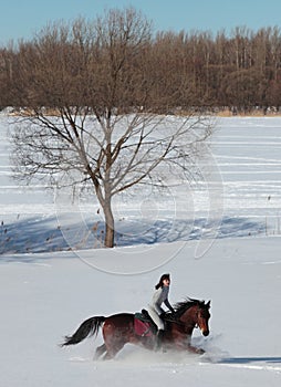 Bay horse with female rider galloping on winter field