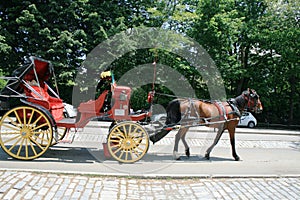 A bay horse harnessed to a red chaise in New York Central Park