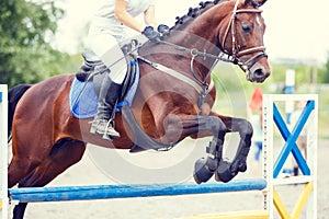 Bay horse with rider jumping over obstacle