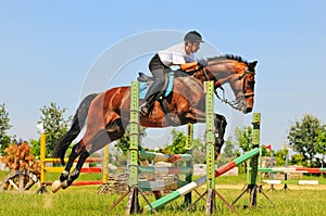 Bay horse and rider over a jump