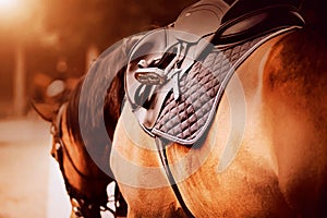 The bay horse is wearing a saddle, a saddlecloth and a stirrup on a sunny day. Equestrian sports and ammunition. Dressage