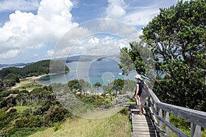 Bay of Island New Zealand - Roberton Island