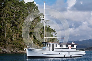 Bay of Island New Zealand - Roberton Island