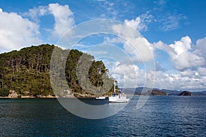 Bay of Island New Zealand - Roberton Island