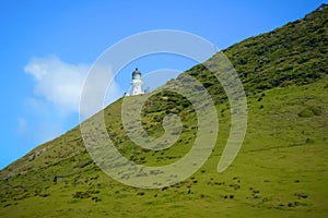 Bay of Islands: green fields, blue sky, white lighthouse, New Zealand