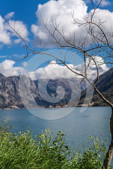 Bay of Kotor landscape