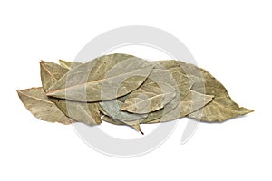 Bay leaf