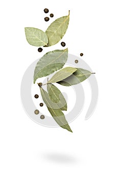 Bay leaf with allspice falls. Seasoning isolated on white background
