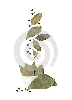 Bay leaf with allspice isolated on white background. Falling spices. Flying seasoning